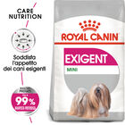 Royal Canin Dog Mini Adult e Senior Exigent 1 kg - Scad 23 Ottobre 2026