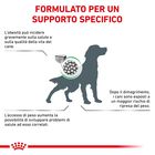 Royal Canin Veterinary Diet Dog Satiety Weight Management 1,5 kg
