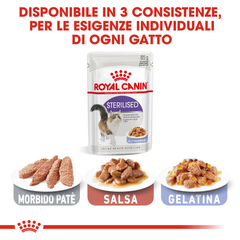 Royal Canin Cat Adult Sterilised in Gelly 85gr
