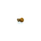 Forza 10 Active Vet Diet Urinary per gatti adulti al Pesce 1,5 kg