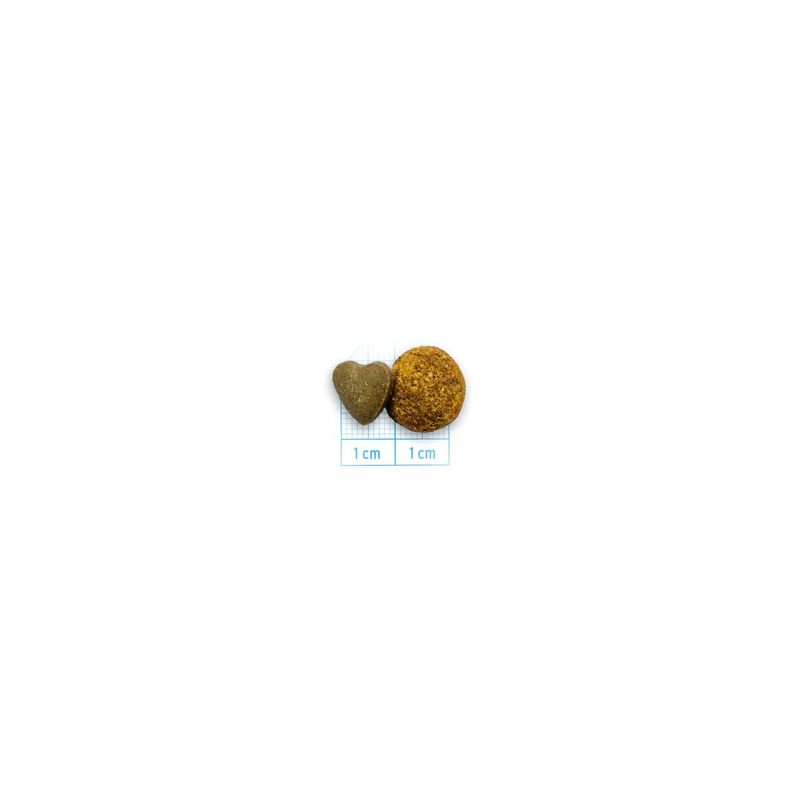 Forza 10 Active Vet Diet Urinary per gatti adulti al Pesce 1,5 kg