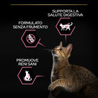 Purina Pro Plan Delicate Digestion Cat Adult 1+ Sterilised Pollo 400 gr