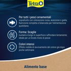 Tetra Rubin Flakes 250 ml
