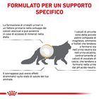 Royal Canin Veterinary Diet Cat Urinary S/O Moderate Calorie 400 gr