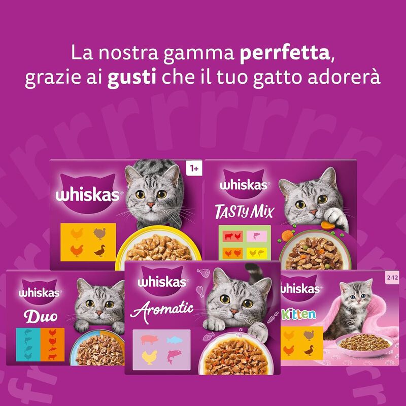 Whiskas Cat Junior Selezione Delicata in Gelatina 4 pz x 85 gr