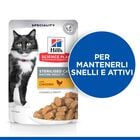 Hill's Cat Sterilised Mature Adult al Pollo 85 gr
