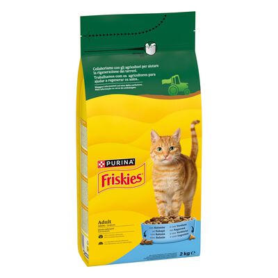 Friskies Cat Adult Mix con Salmone e Verdure 2 kg