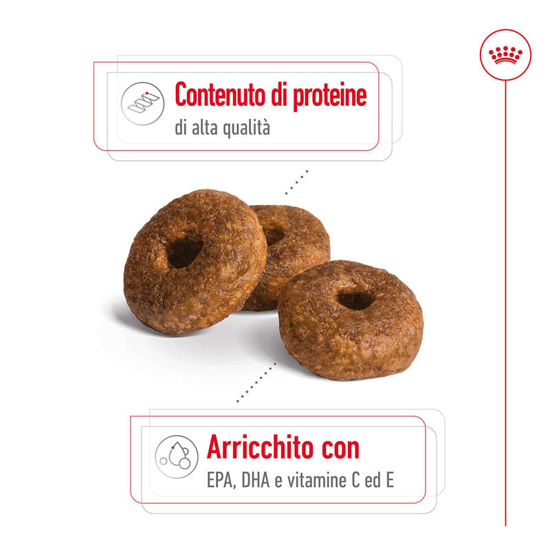 Royal Canin Dog Medium Senior +10 anni 15 kg