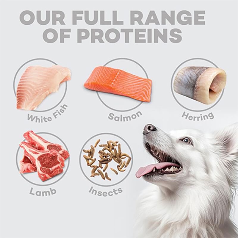 Nature's Protection Superior Care Dog Adult Small & Mini Pelo Bianco all'Aringa 1,5 kg