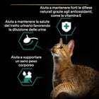 Purina Pro Plan Sterilised Teneri Pezzetti In Gelatina Con Pesce Dell'oceano 85g