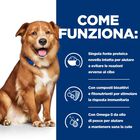 Hill's Prescription Diet Dog Derm Complete Spezzatino 370 gr