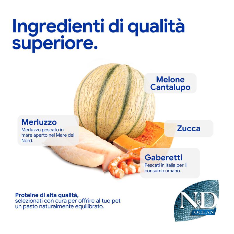 N&D Farmina Ocean Kitten Merluzzo, Gamberetti, Zucca e Cantalupo 300 gr