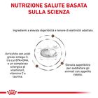 Royal Canin Veterinary Diet Dog Gastrointestinal Moderate Calorie 2 kg