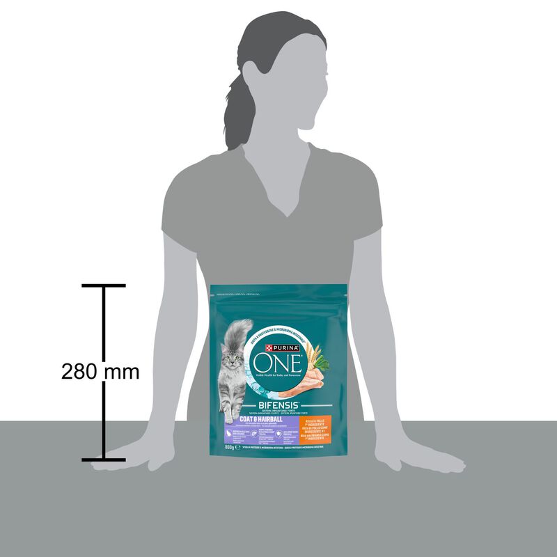 Purina One Bifensis Cat Sterilised Hairball Pollo e Cereali Integrali 800 gr
