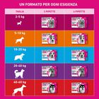 Frontline Tri-act antiparassitario cani 5-10 kg - 3 pipette