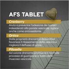 Forza 10 Active Vet Diet Renal per Gatti Adulti al Pesce 1,5 kg