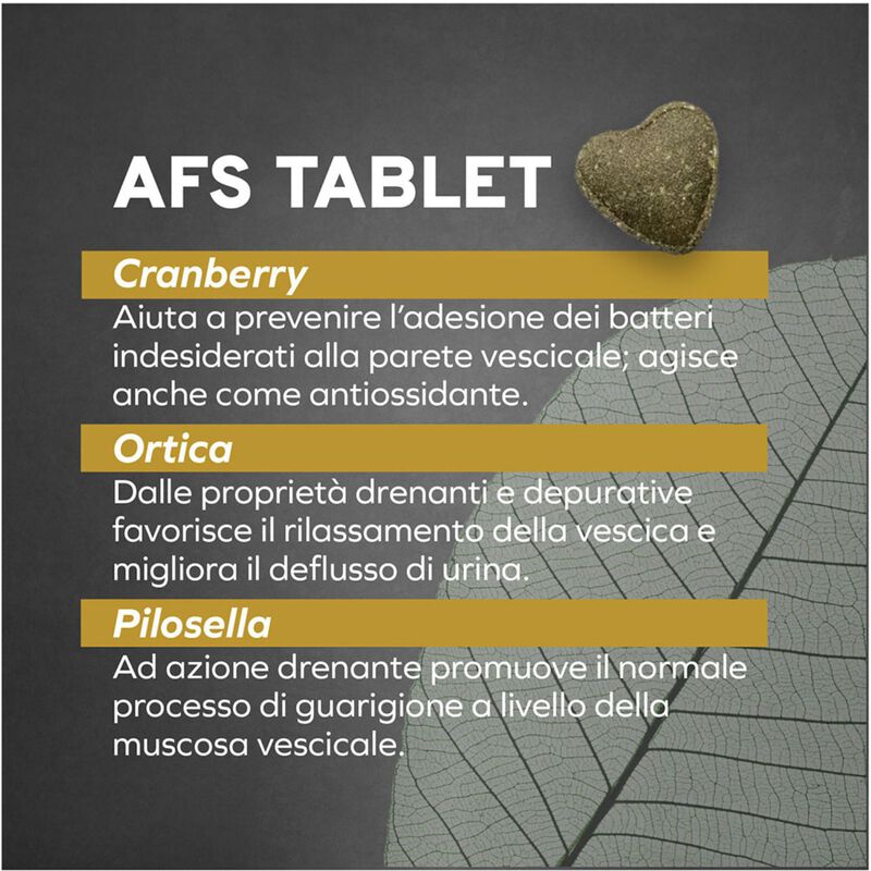 Forza 10 Active Vet Diet Renal per Gatti Adulti al Pesce 1,5 kg