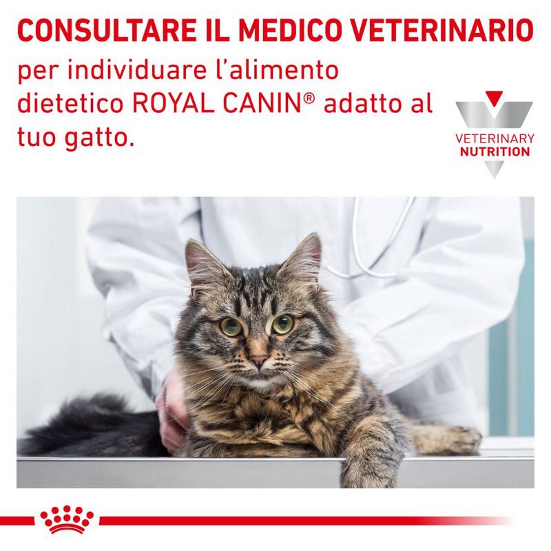 Royal Canin Veterinary Diet Cat Hypoallergenic 2,5 kg