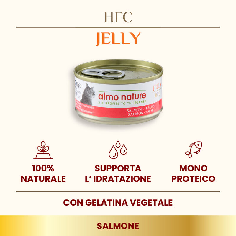 Almo Nature HFC Cat Jelly Salmone 70g