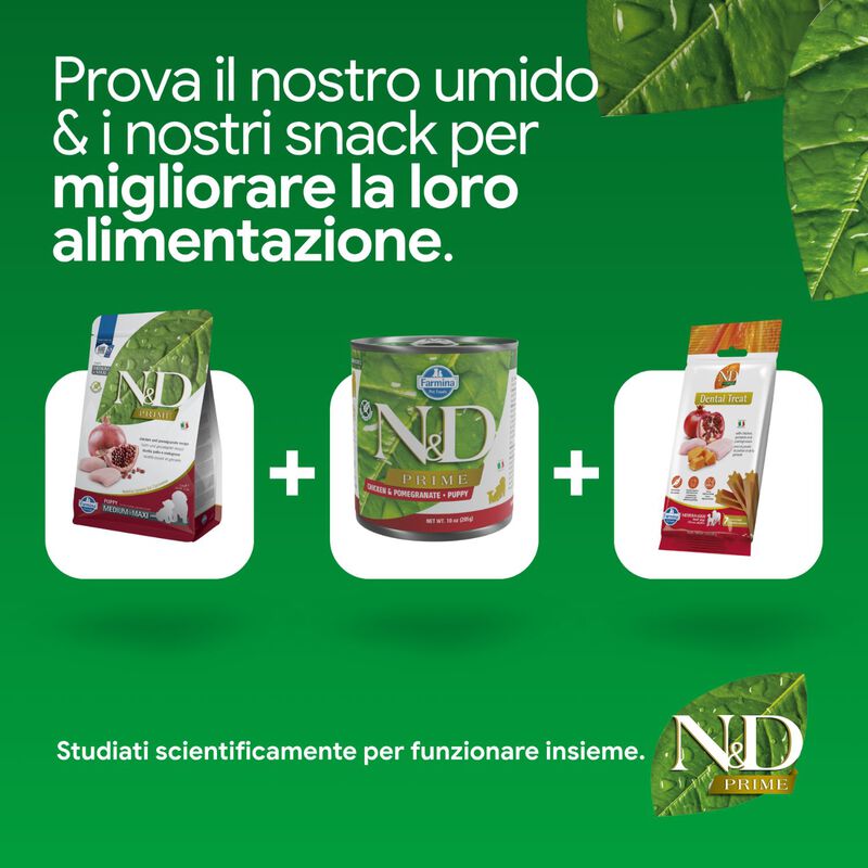 N&D Farmina Prime Puppy Medium & Maxi Pollo & Melograno 12 kg