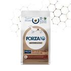 Forza 10 Active Vet Diet Dog Mini&Toy Intestinal Colon Fase 2 1,5 kg