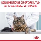 Royal Canin Cat Adult Appetite Control Care 400 gr