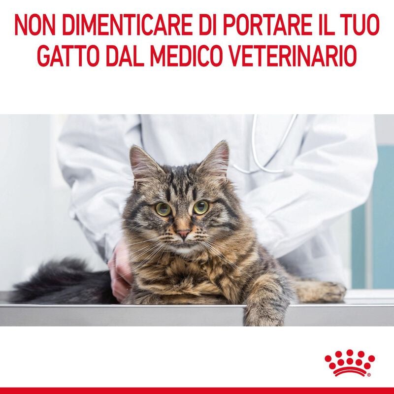 Royal Canin Cat Adult Appetite Control Care 400 gr