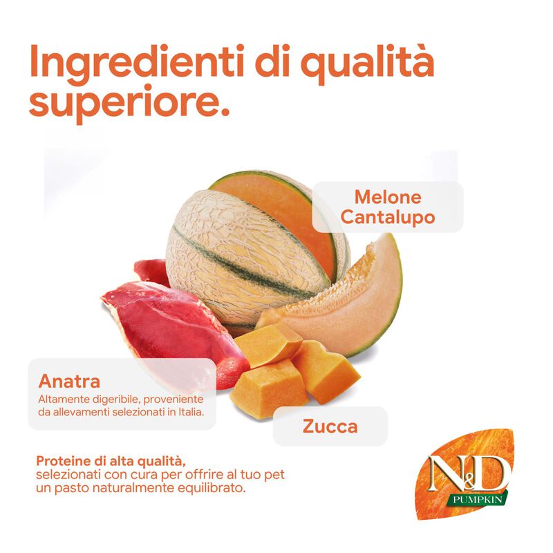 N&D Farmina Pumpkin Dog Adult Mini Anatra & Cantalupo 2 kg