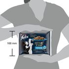 Felix Cat Adult Fettine al vapore Salmone e tonno 4 pz x 80 gr