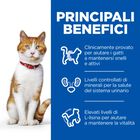 Hill's Science Plan Cat Adult Sterilised con Pollo 85 gr