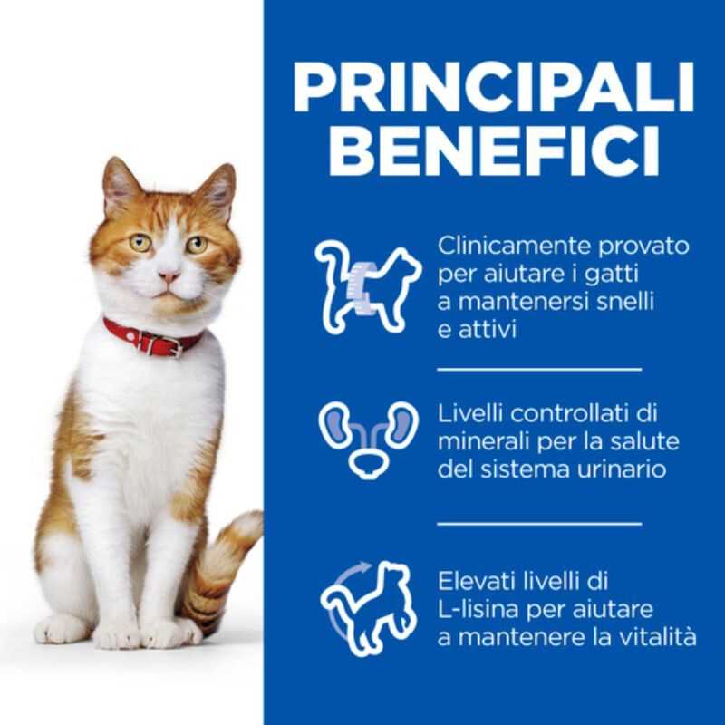 Hill's Science Plan Cat Adult Sterilised con Pollo 85 gr