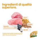 N&D Farmina Ancestral Grain Puppy Medium & Maxi Agnello e Mirtillo 2,5 kg