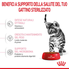 Royal Canin Cat Kitten Sterilised 2 kg
