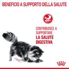 Royal Canin Cat Adult Digestive Care 2 kg