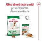 Royal Canin Dog Mini Adult +8 anni 8kg