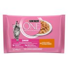 Purina One Kitten con Pollo e Carote 4 pz x 85 gr