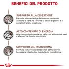 Royal Canin Veterinary Diet Cat Gastrointestinal 400 gr