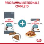 Royal Canin Hairball Care Adult Cat 10 kg