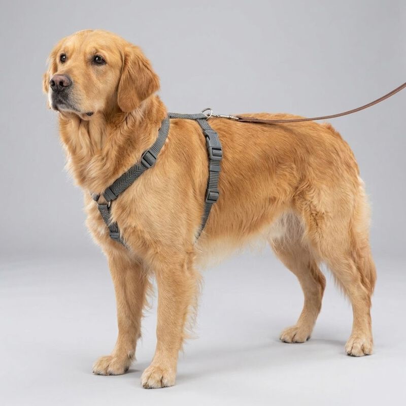 Trixie Premium Pettorina ad H Color Vinaccia Tg M-L