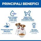 Hill's Science Plan Dog  Small & Mini Puppy al Pollo 1,5 kg