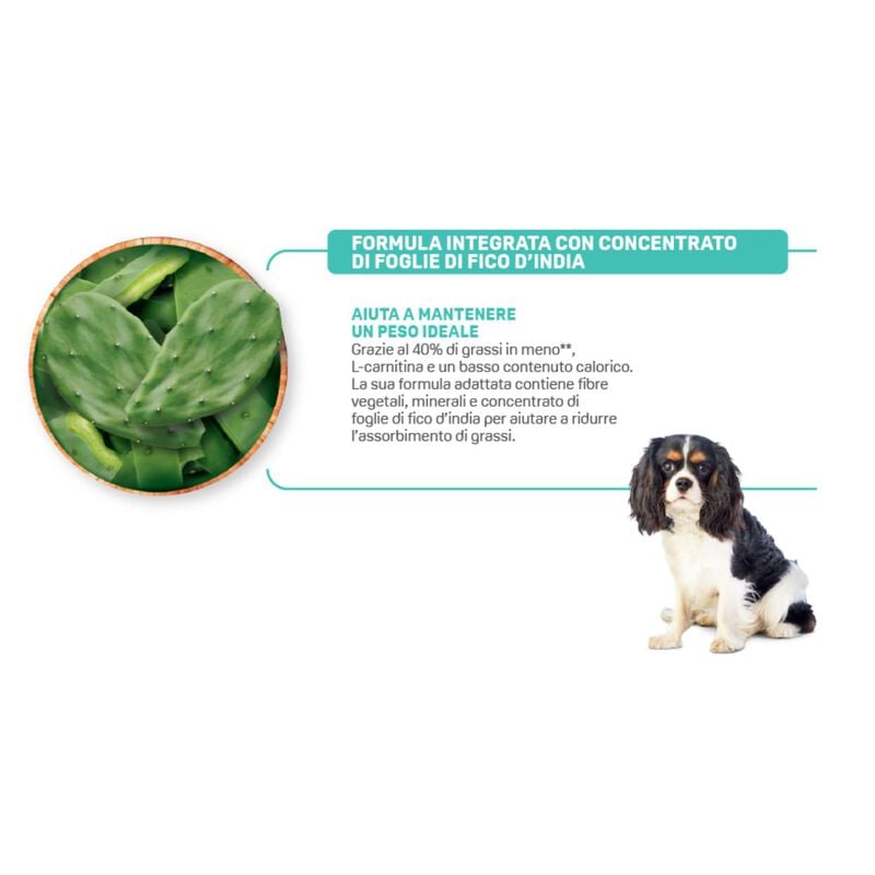 Natural Trainer Dog Ideal Weight Small & Toy Adult con Carni bianche 2 kg
