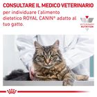 Royal Canin Veterinary Diet Cat Urinary S/O Loaf 12x85 gr