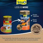 Tetra Goldfish Men&ugrave; 250 ml