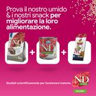 N&D Farmina Quinoa Neutred Dog Adult Mini 2,5 kg