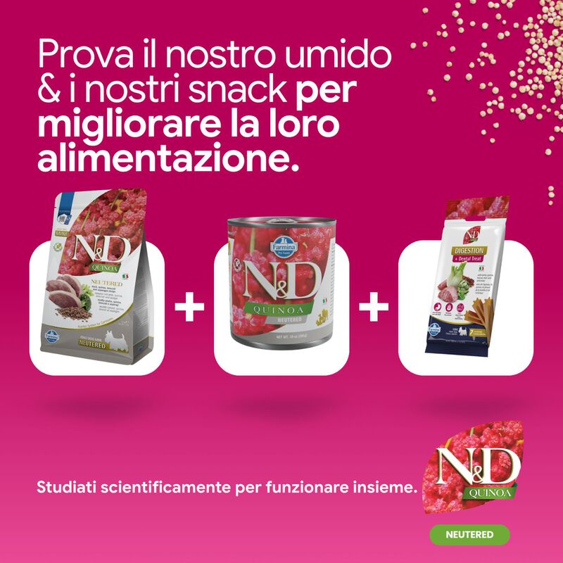 N&D Farmina Quinoa Neutred Dog Adult Mini 2,5 kg