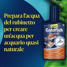 Tetra Goldfish AquaSafe  100 ml