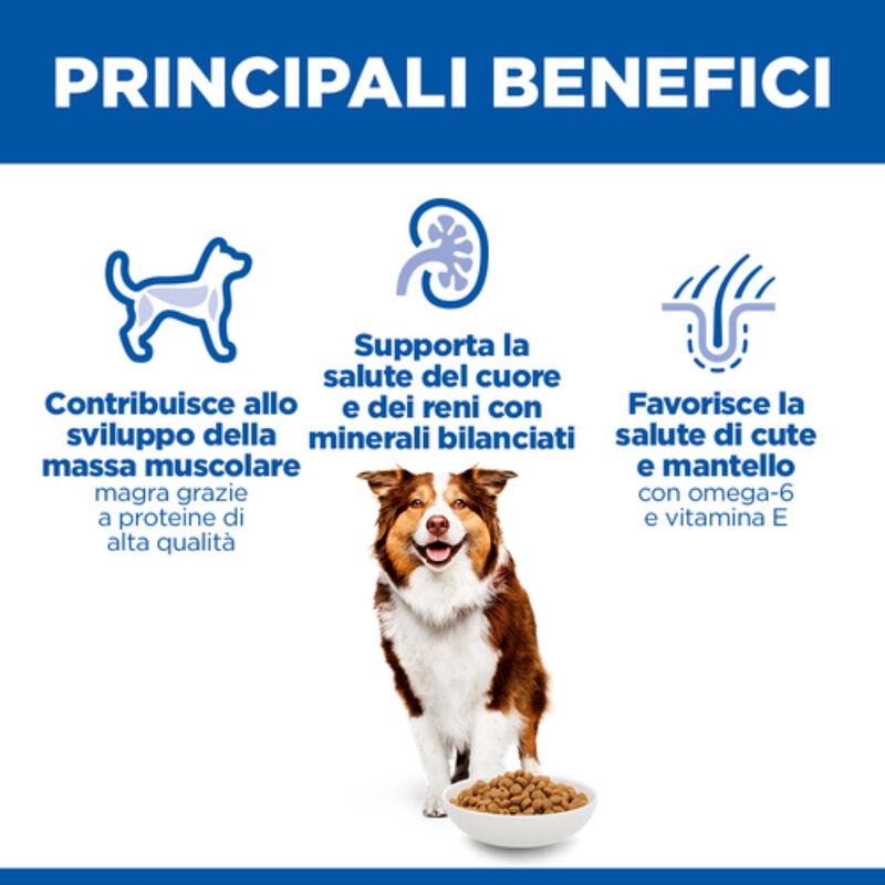Hill's Science Plan Dog Medium Mature Adult 7+ al Pollo 14 kg