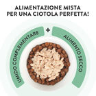 Schesir Cat Tonnetto in Gelatina 70 g