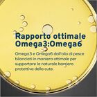 Forza 10 Active Vet Diet Urinary per gatti adulti al Pesce 1,5 kg