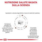 Royal Canin Veterinary Diet Cat Kitten Gastrointestinal 2 kg